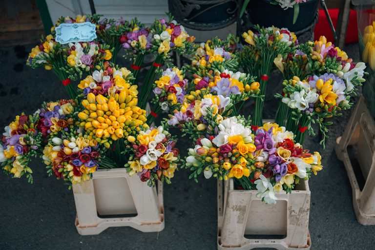 envio-flores-frescas