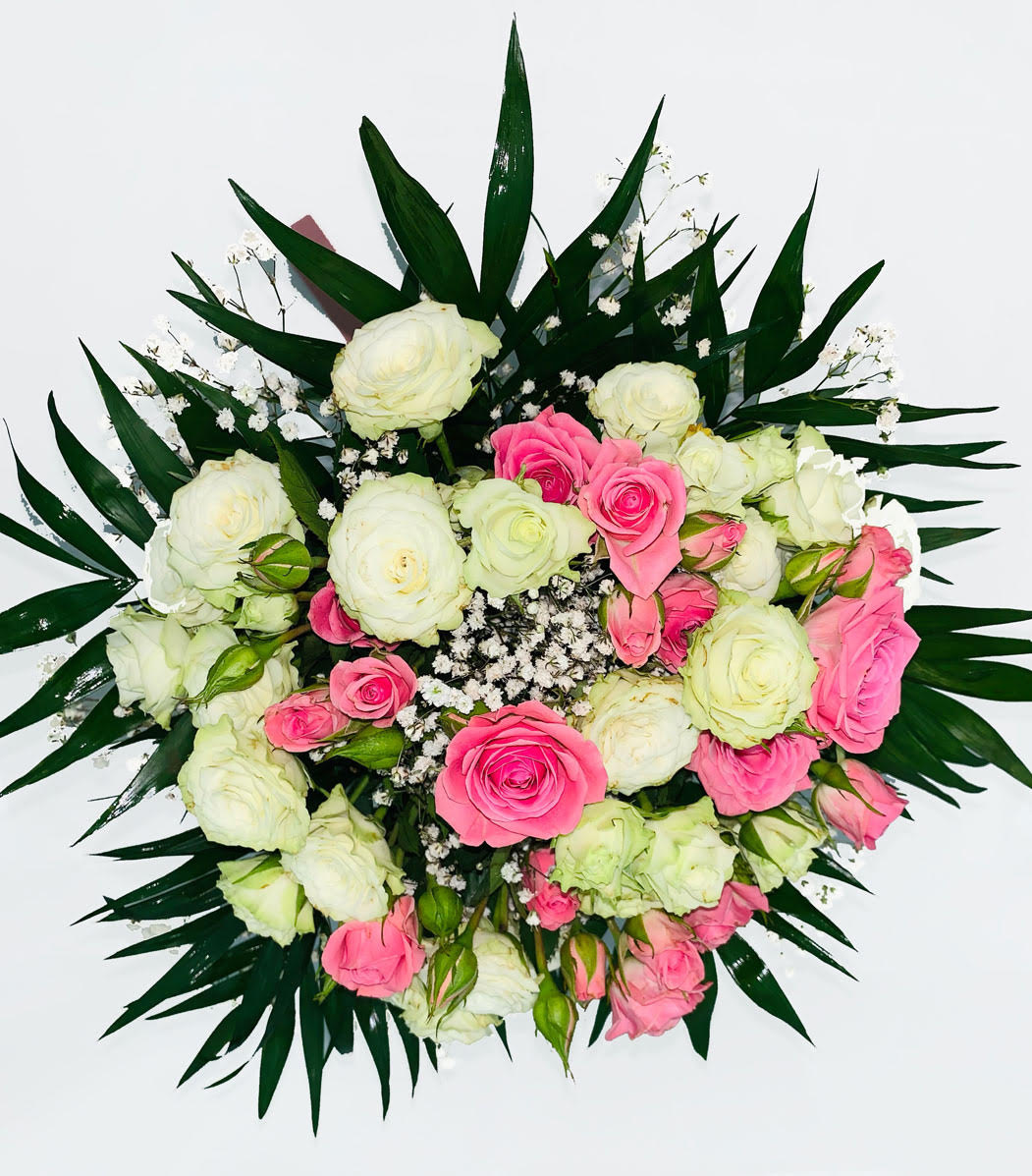 rosa pitimi web