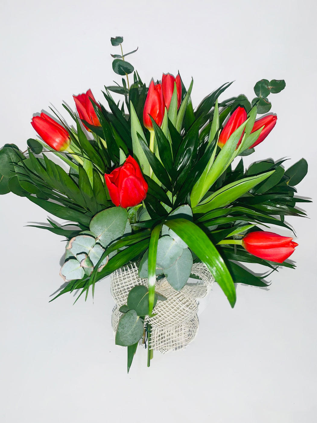 tulipanes web