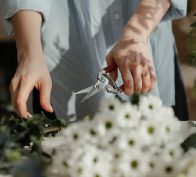 proceso-creacion-flores_Mesa de trabajo 1